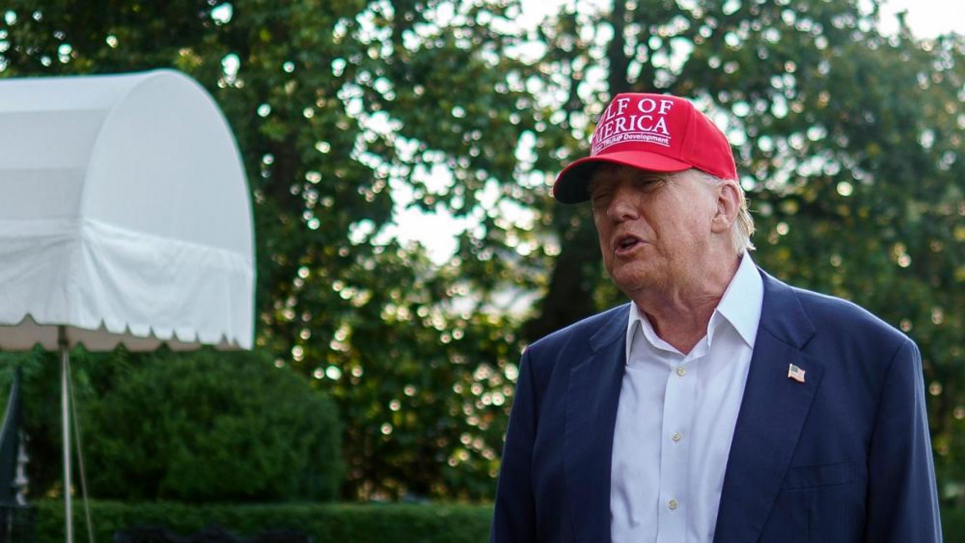 Trump: 'We're going to teach them how to run away from an alligator'