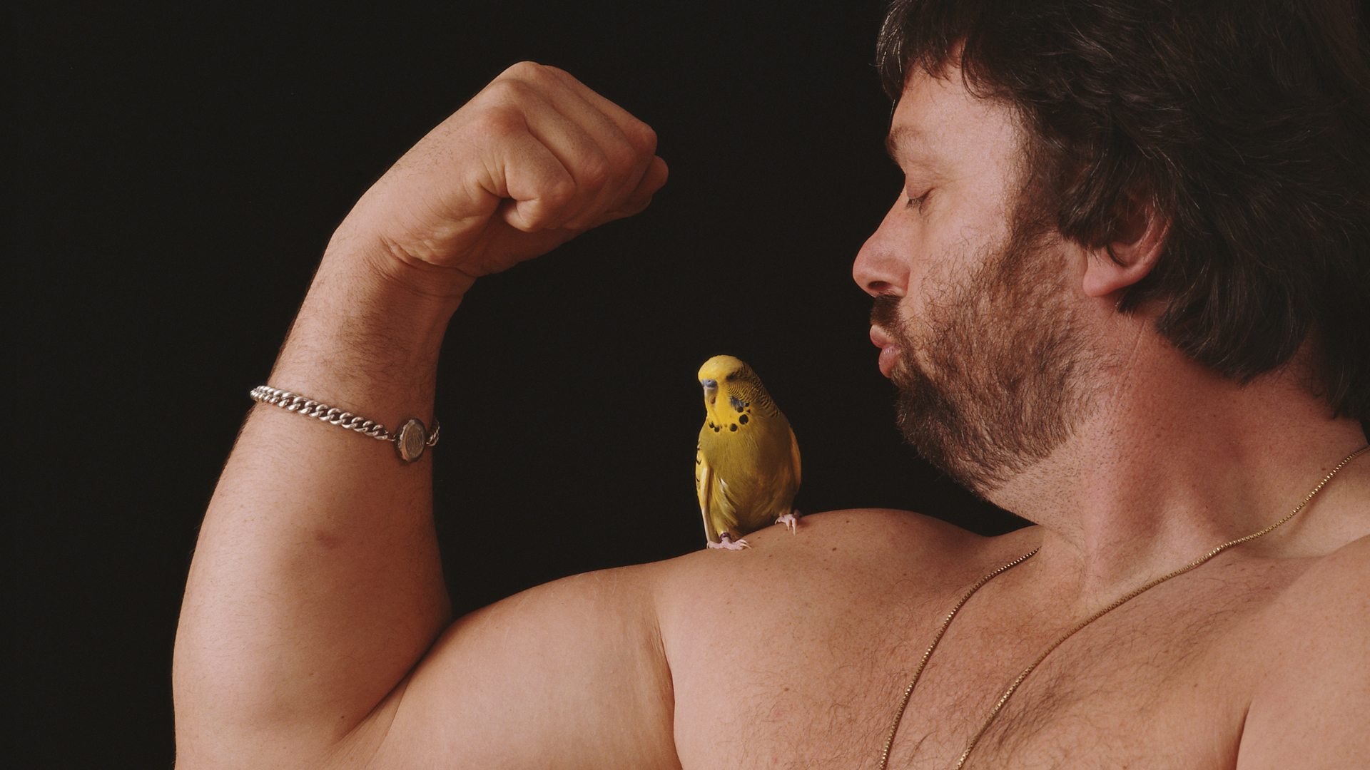Geoff Capes with bird on muscle
