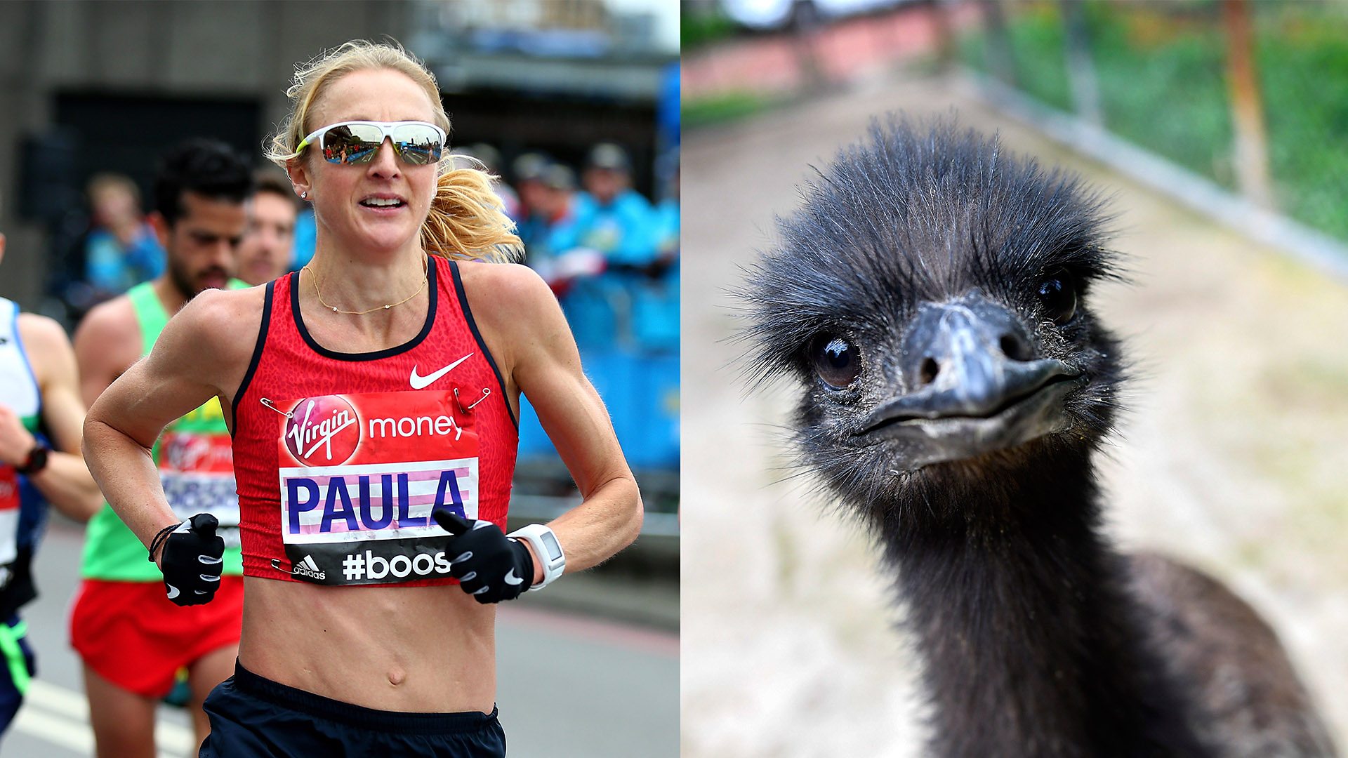 Paula Radcliffe and an emu