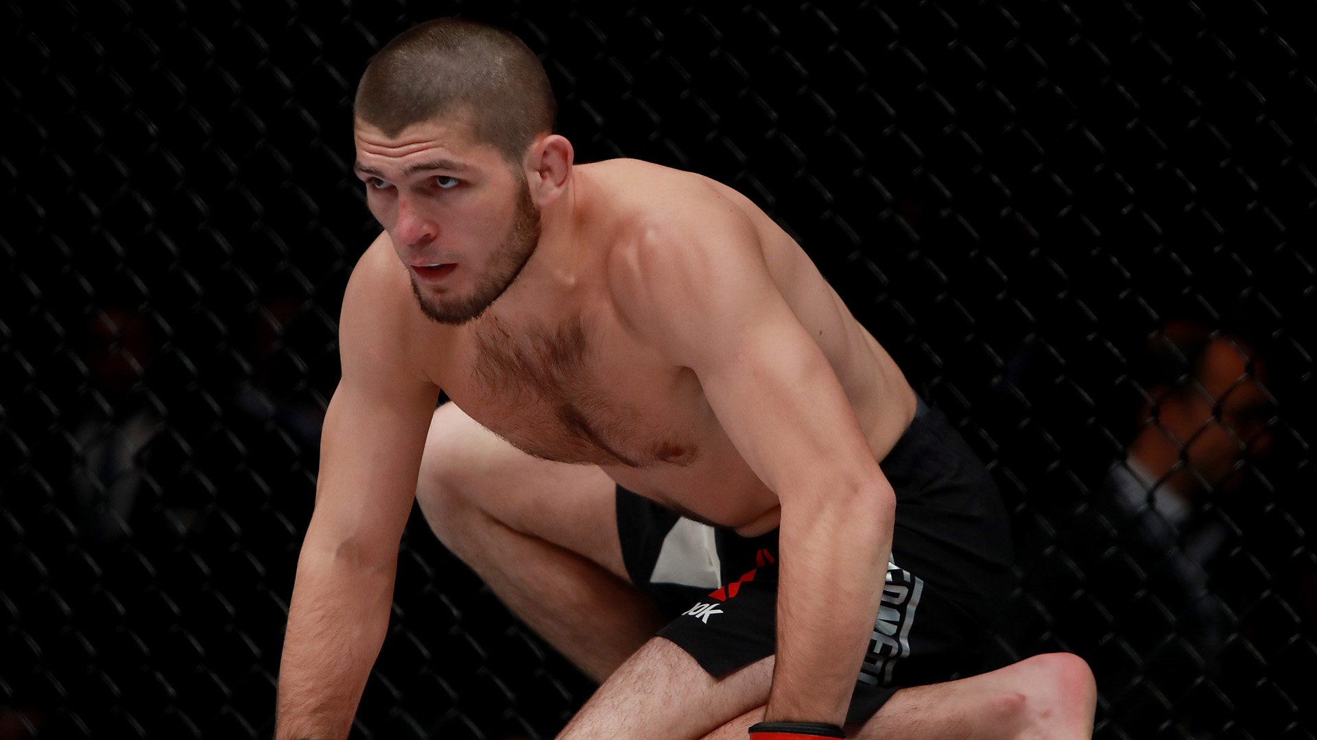 Khabib Nurmagomedov