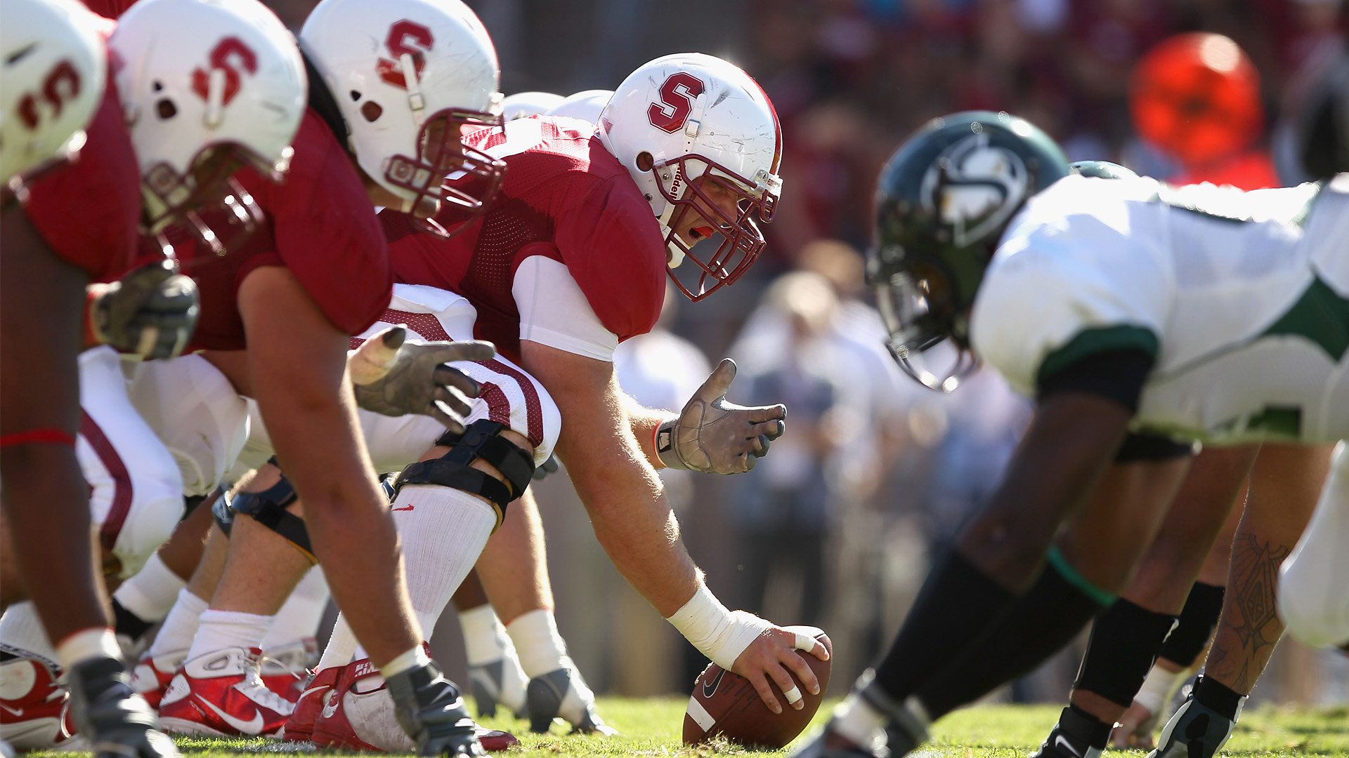 Sacramento State Hornets football