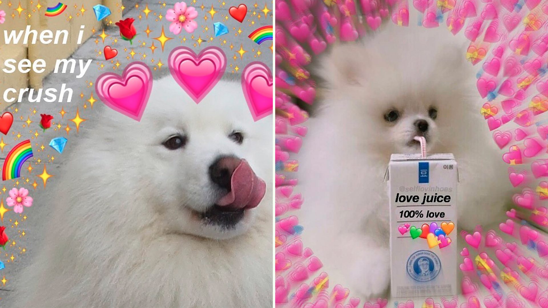 Two 'wholesome' memes showing dogs with hearts around them