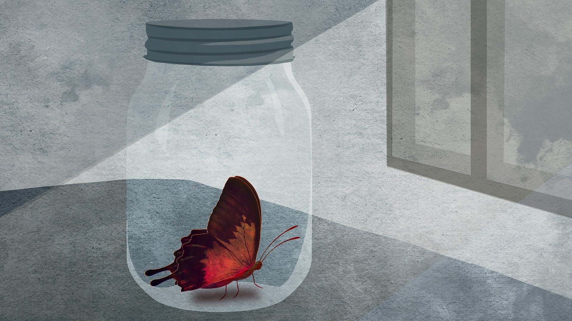 Butterfly locked in a jar