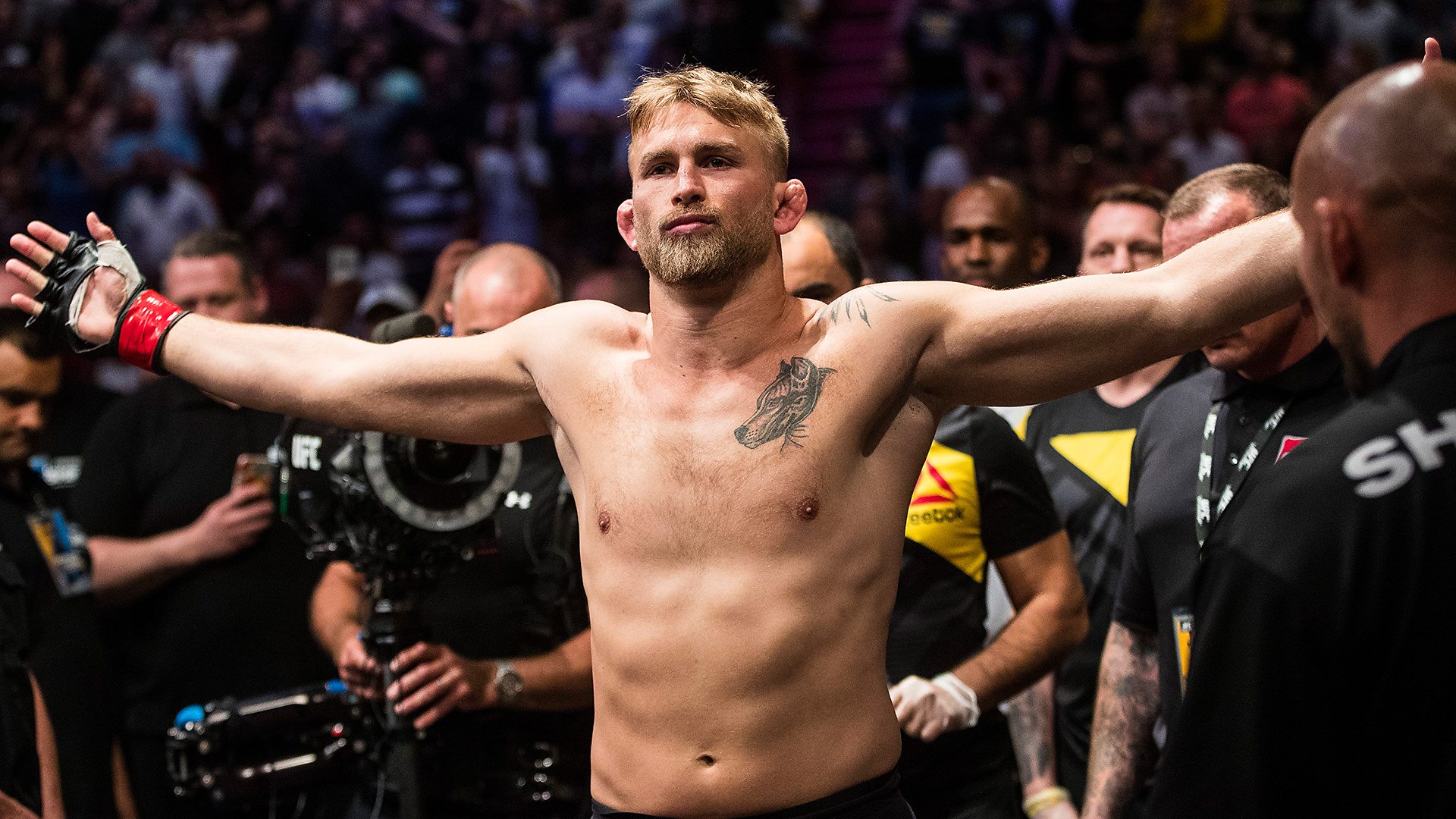 Alexander Gustafsson