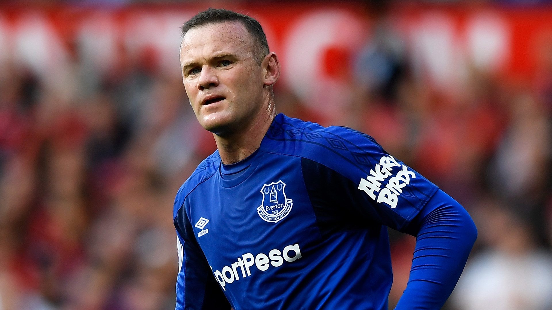 Wayne Rooney at Everton