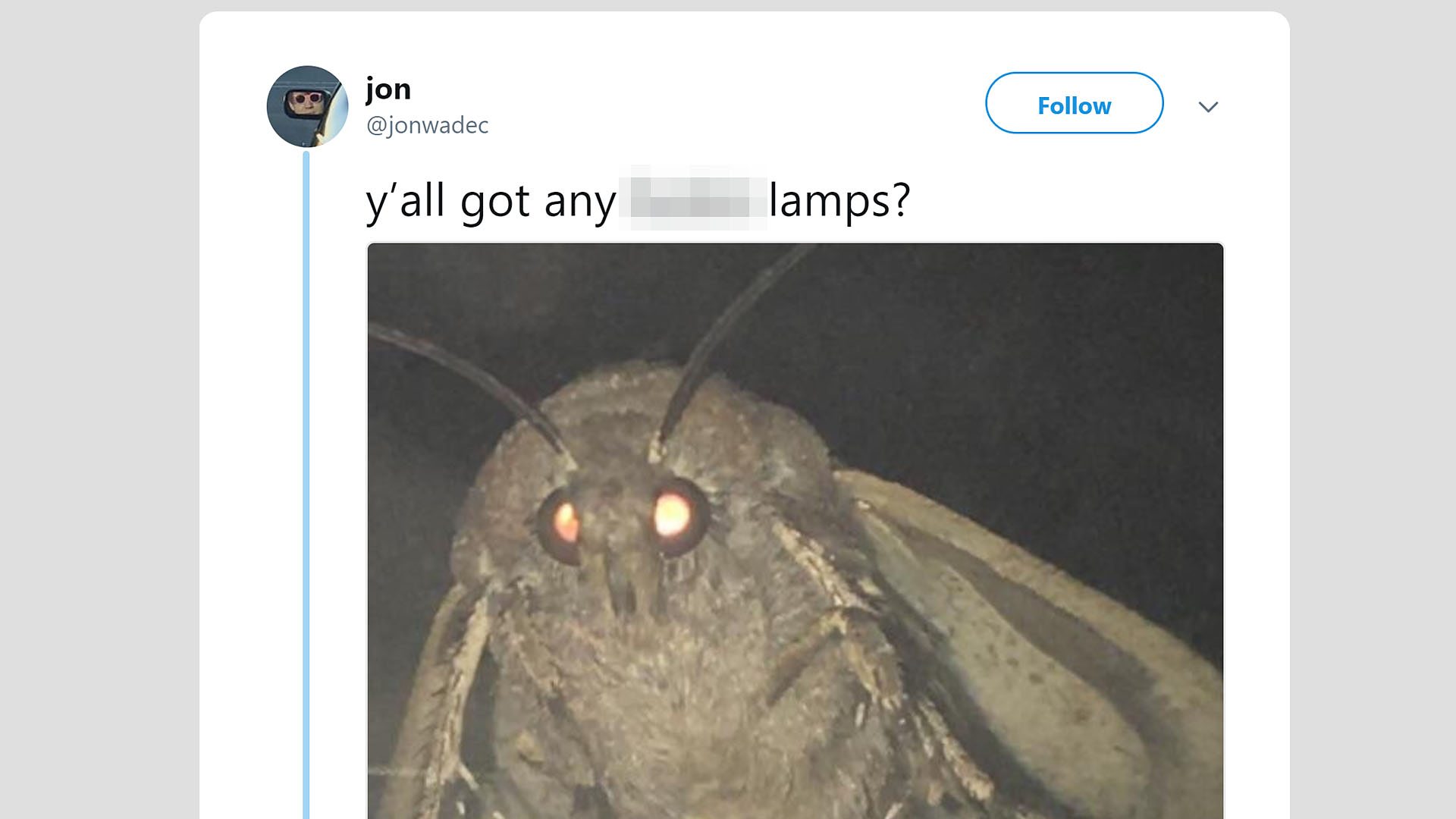Moth Memes Tweet