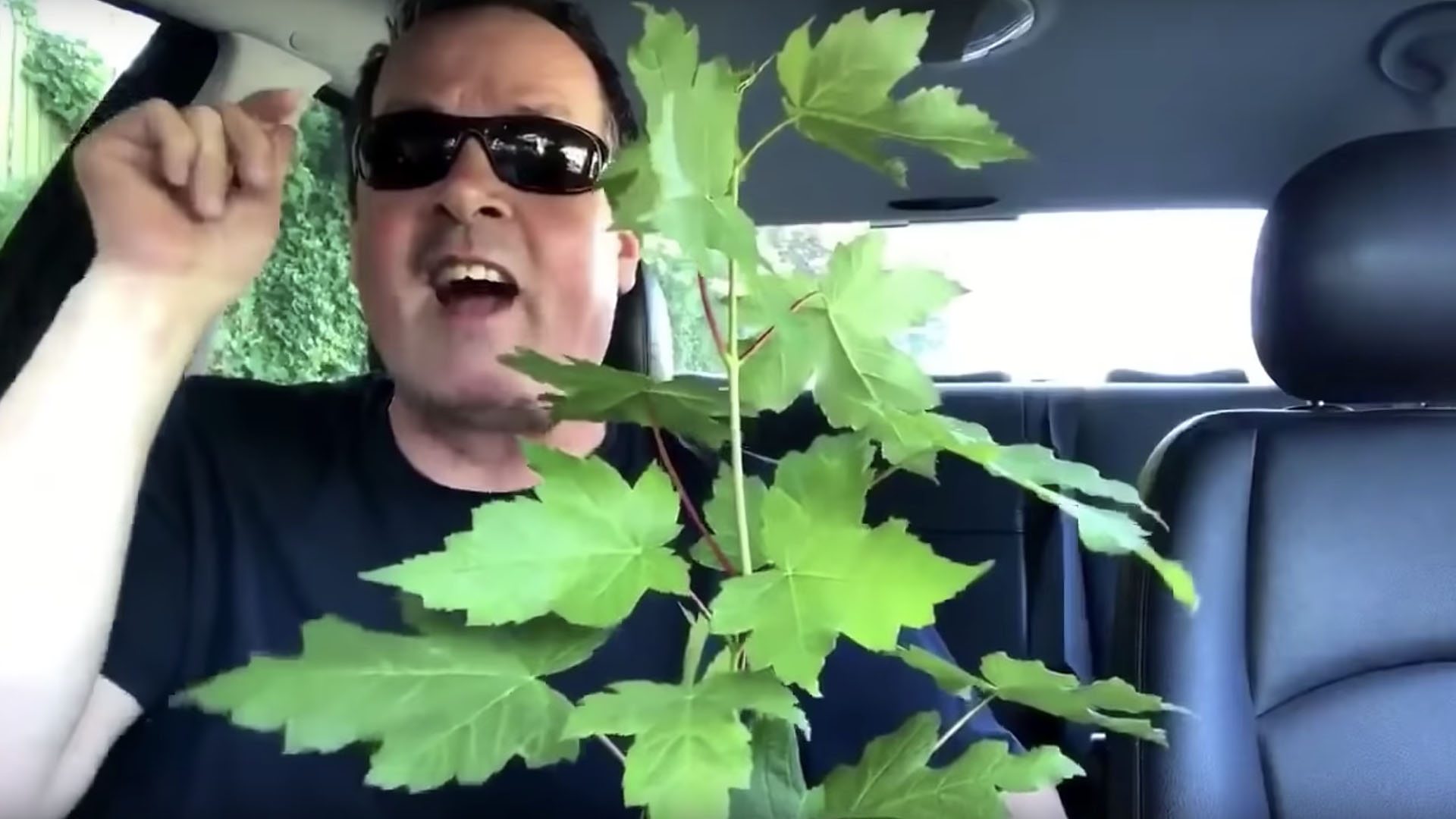 Screenshot of Chunky Marks video