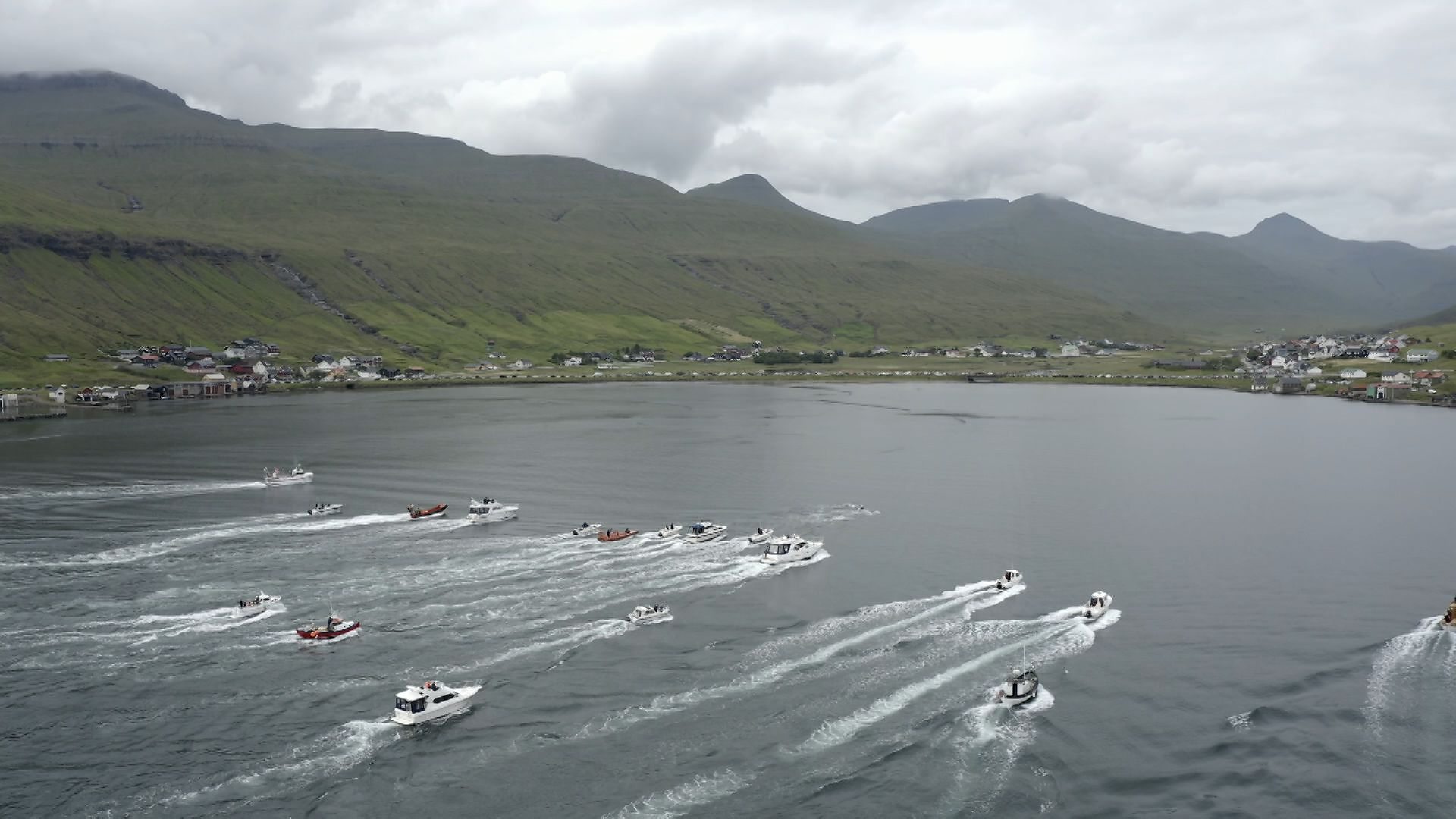 Whale hunting herding