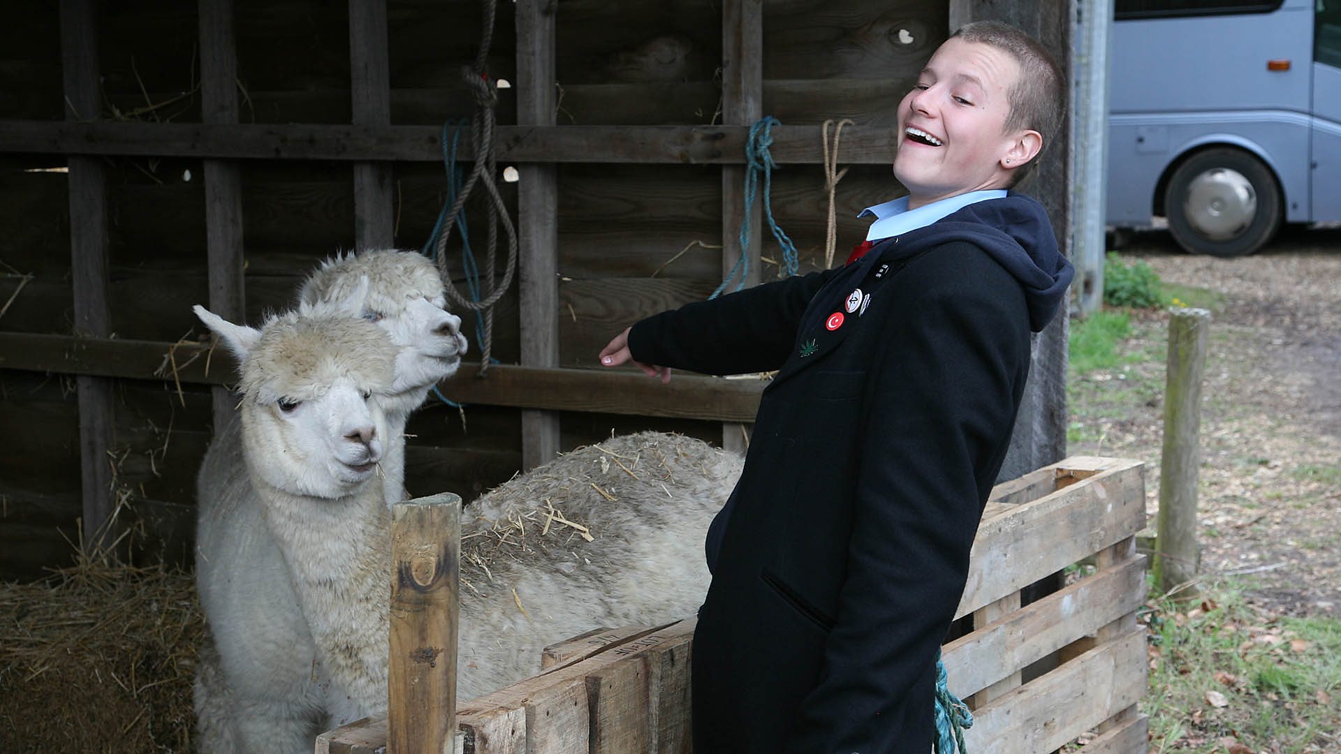 charlie wernham bad education