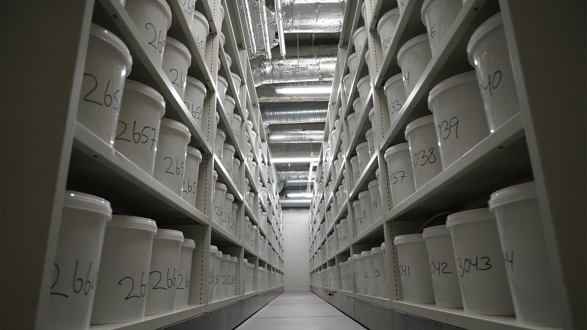 The Danish basement housing 10,000 human brains