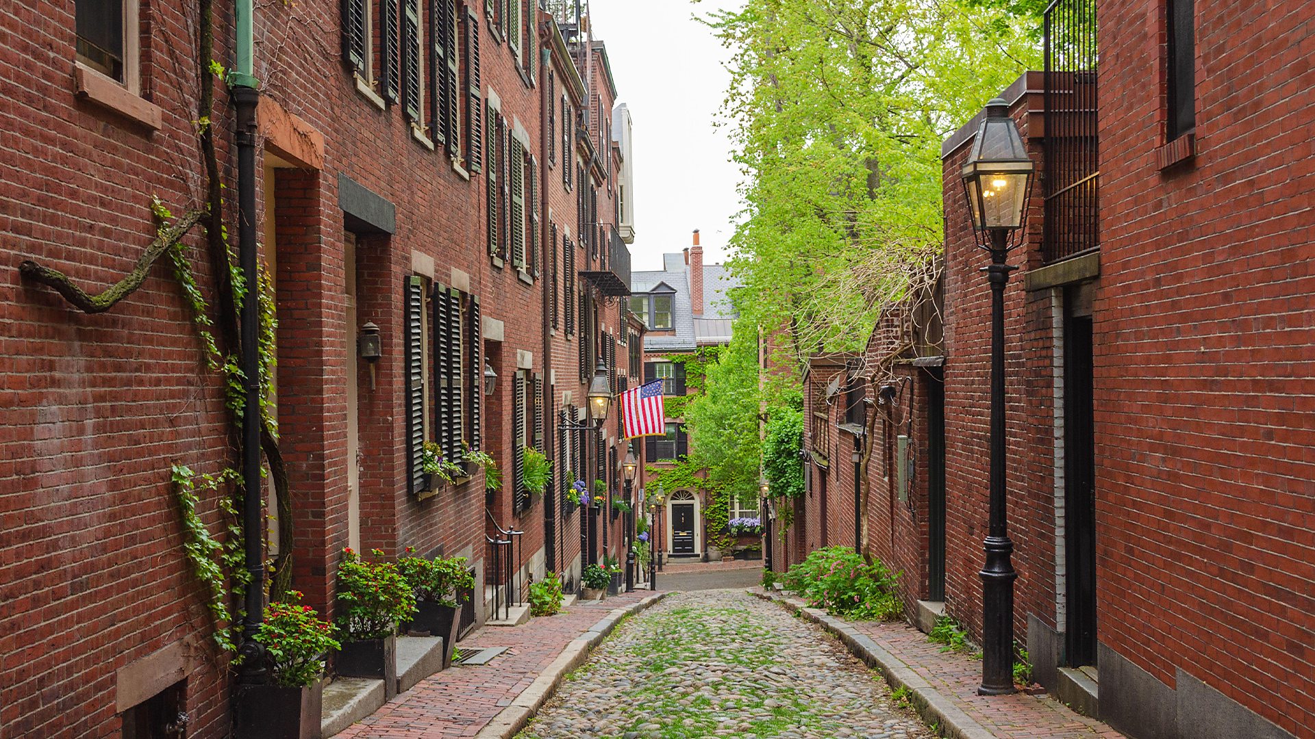 Image of homes along a Boston alleyway