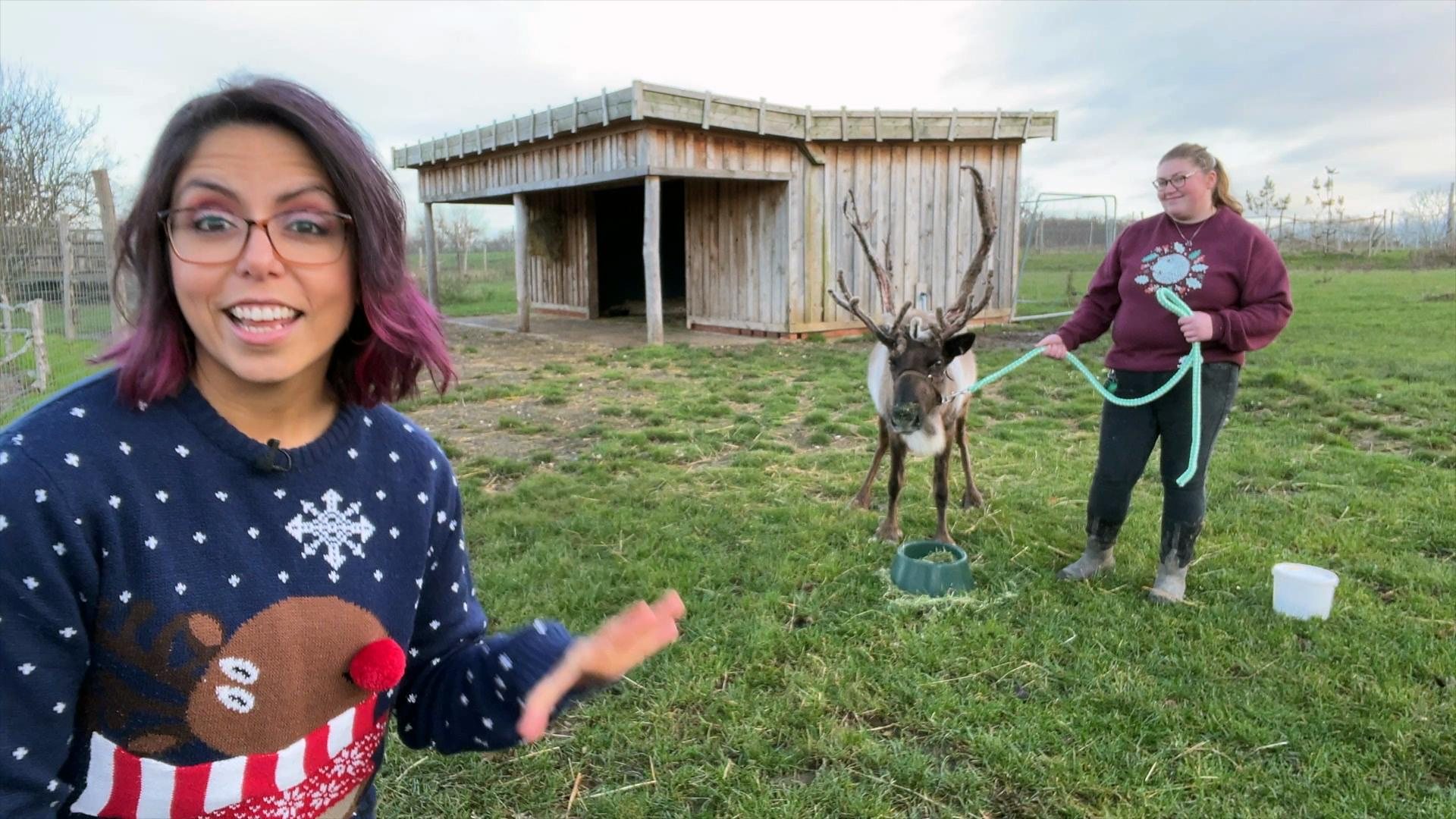 The little-known truth behind a Christmas tale