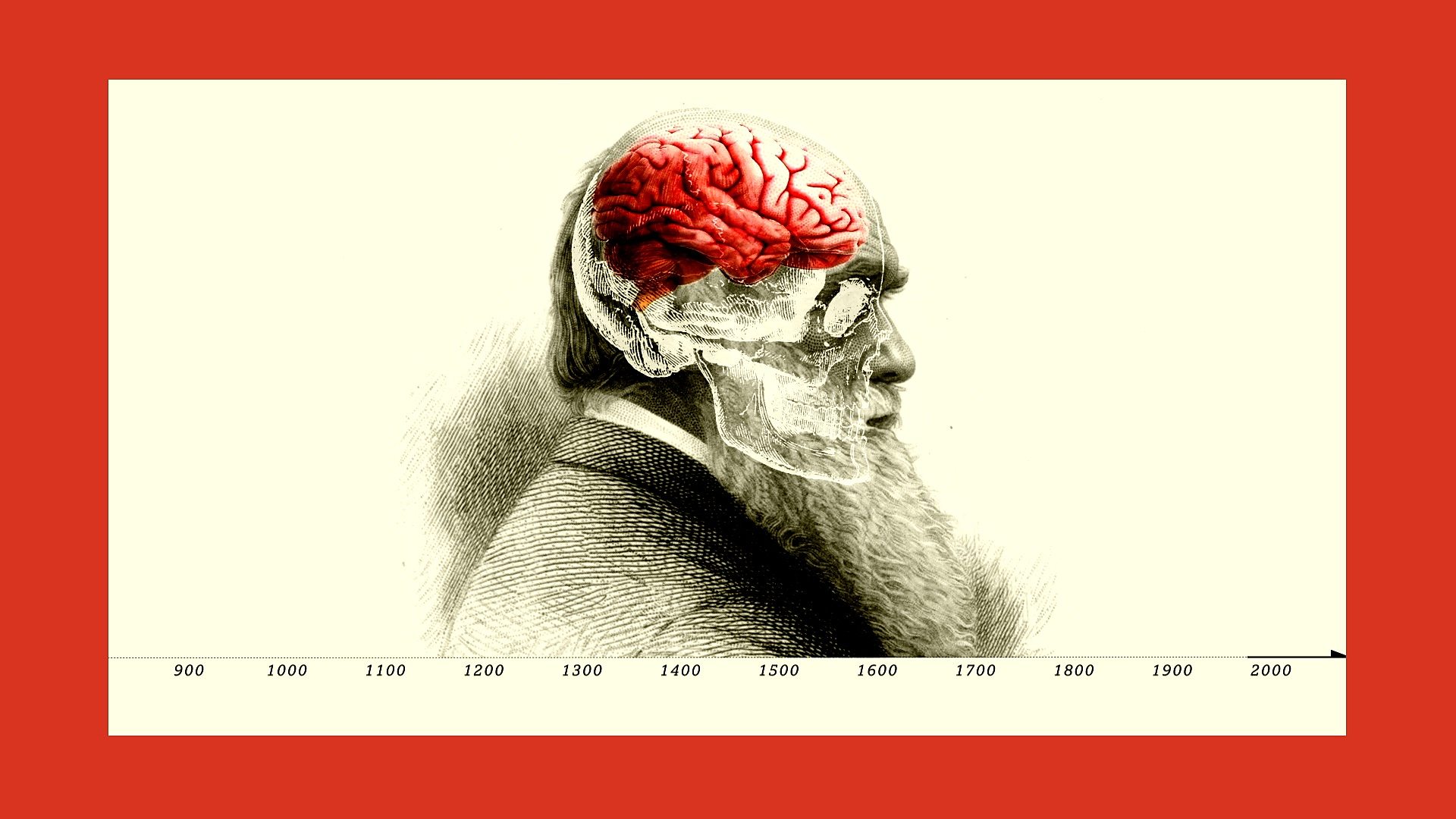 Our body is a mosaic of fungi. Some scientists think they could be influencing our brain