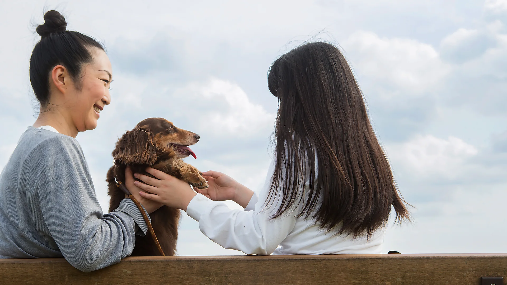 Woman with dog helping child with autism