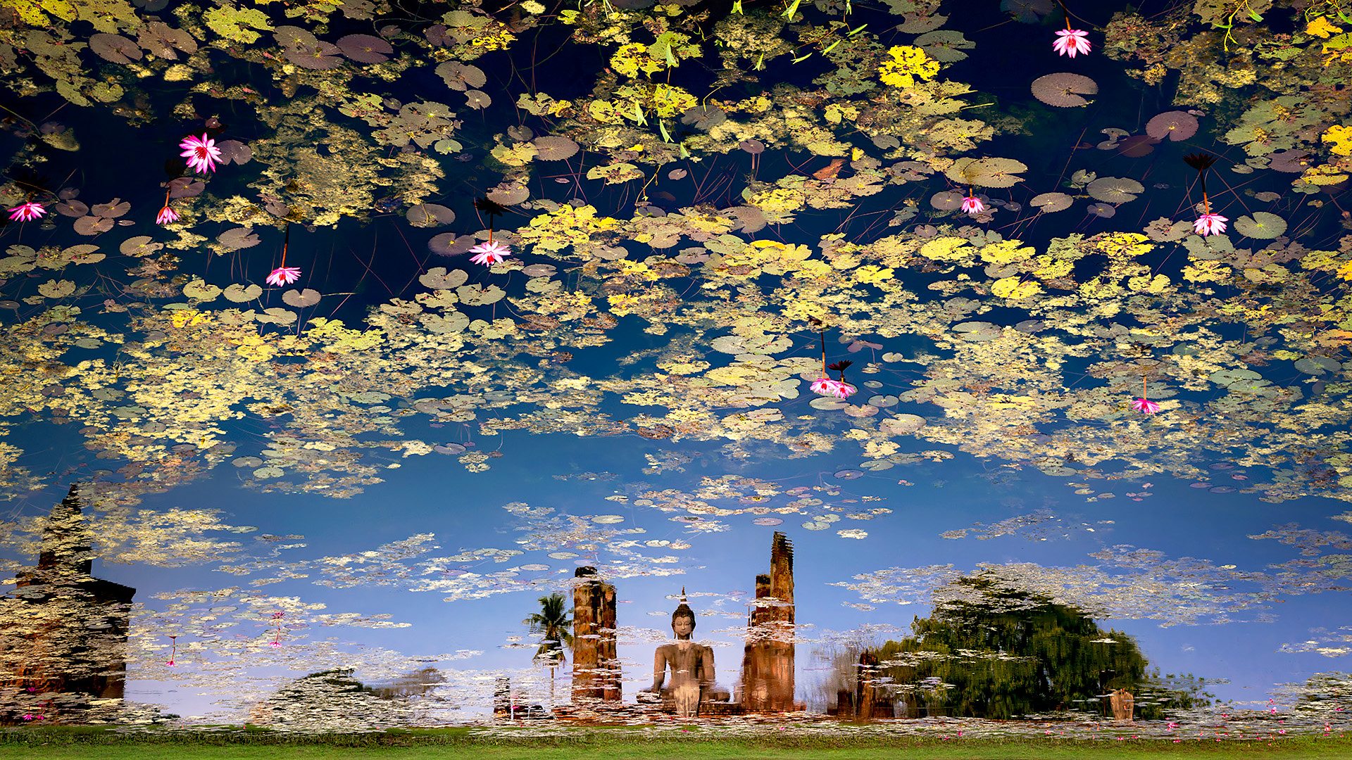 The year's best travel photos,