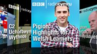 Geirfa Podlediad Pigion Radio Cymru i Ddysgwyr: Chwefror 24, 2015