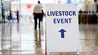 NEC Livestock Event - an Archers Writer's take