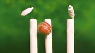 New Captain for Ambridge Cricket Team