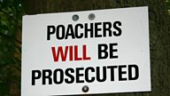 Rural Poachers: Heroes or Villians?