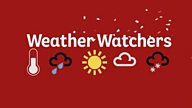 A year of ̳ Weather Watchers