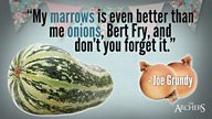 Quote of the Week: Joe knows his onions
