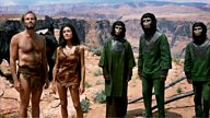 Half Century Of The Apes