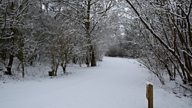 Snow, glorious snow! Hang on... It's spring, right?!