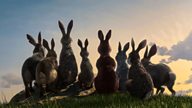 Adapting Watership Down for  One