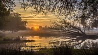 Winter light:  Say goodbye to the January blues and hello to these stunning photos