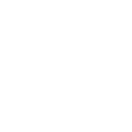 the Royal Society