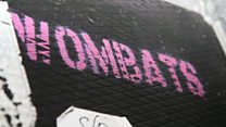Wombats Live Lounge