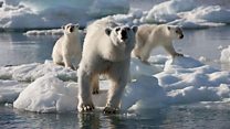 Frozen Planet in Concert