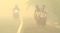 インドネシアの森林・泥炭火災 年少者の健康被害が深刻に