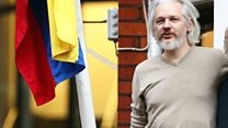 Why has Assange been holed up?
