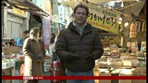日本の捕鯨文化 消えゆく運命か