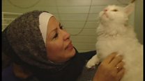 猫の「難民」 家族と再会