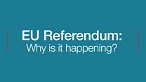 EU Referendum: Why is it happening?