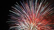 Pet lovers' petition to limit firework parties
