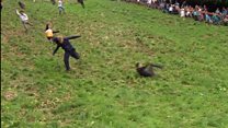 Double Gloucester tip for cheese race