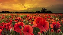 BBC Hoddinott Hall 2015-16: Somme