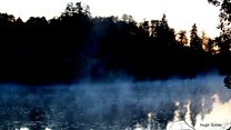 Europe's primeval forest may be under threat