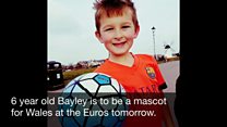 Bayley is mascot for Wales