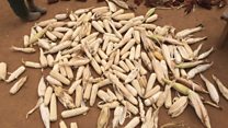 Imvo n'Imvano ku kibazo cy'inzara mu Rwanda