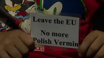 Anti-Polish leaflets in Cambridge
