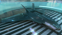 How 'chemputer' could 'grow' drones