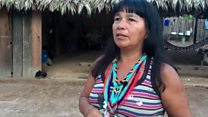 「森は私の母」――アマゾンの森林伐採に抗う先住民