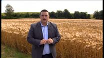 Mametz