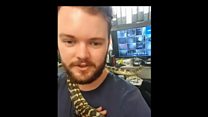 Dumped 6ft python finds a new home