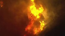 Forced out by wildfire