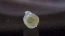 World's first artificial midbrain created
